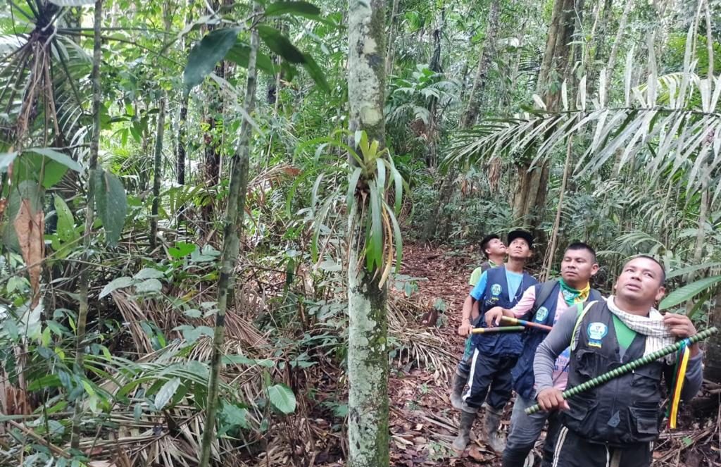 WhatsApp Image 2021-04-22 at 11.11.07 AM